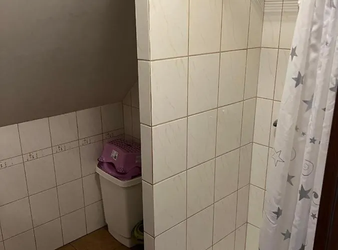 Дом отдыха Kaszuby- Caloroczny Nad Jeziorem Gowidlinskim *